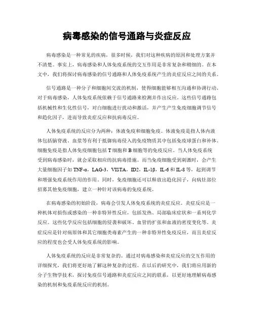 病毒感染的信号通路与炎症反应