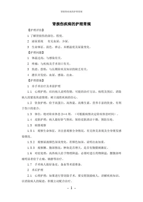 【实用】-肾损伤疾病护理常规