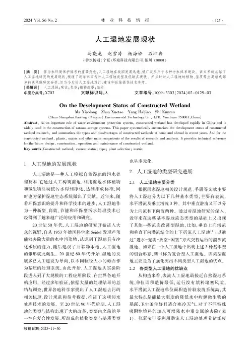 人工湿地发展现状