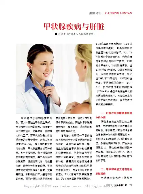 甲状腺疾病与肝脏   