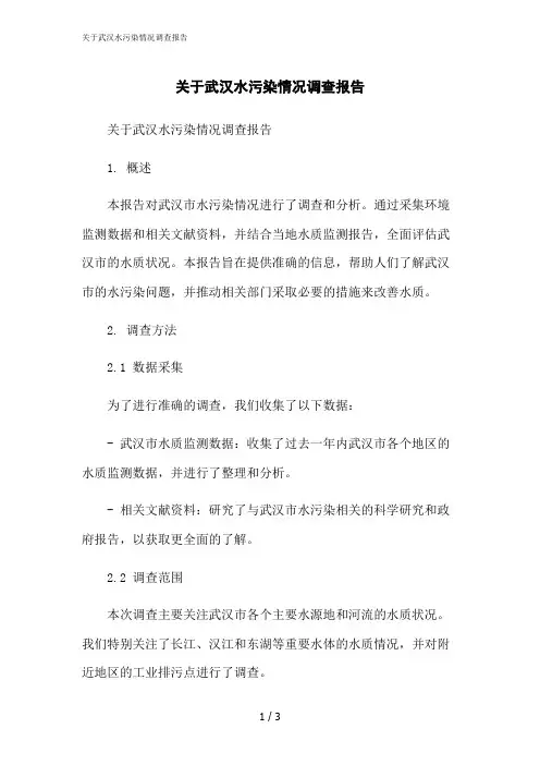 2023修正版关于武汉水污染情况调查报告