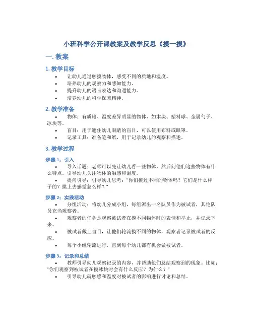小班科学公开课教案及教学反思《摸一摸》