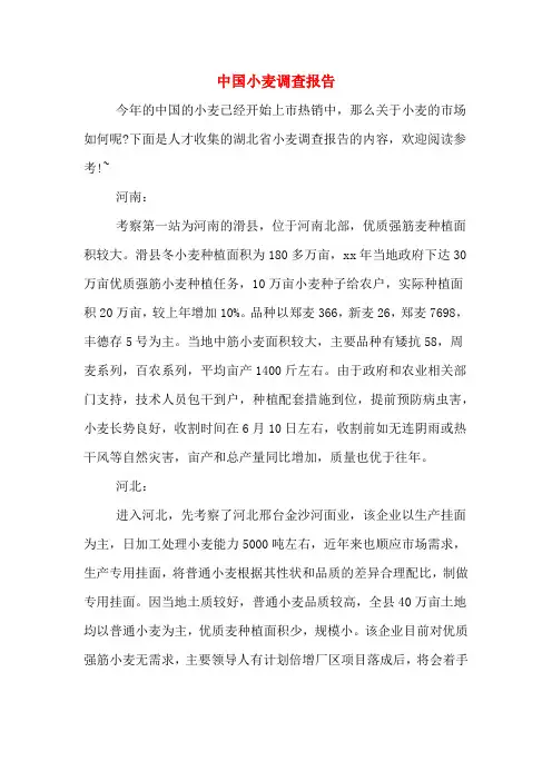 中国小麦调查报告