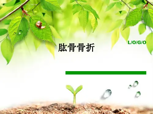 肱骨骨折ppt课件