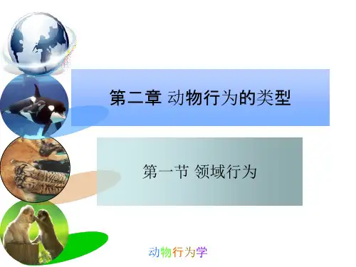 第一节 领域行为.ppt