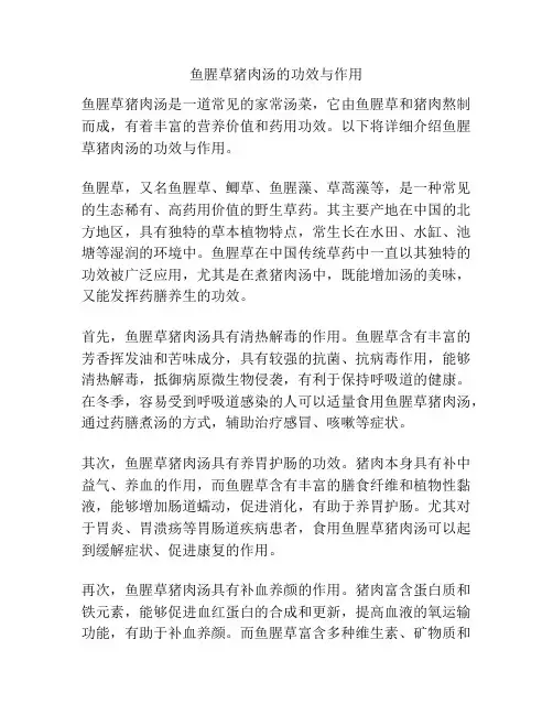 鱼腥草猪肉汤的功效与作用