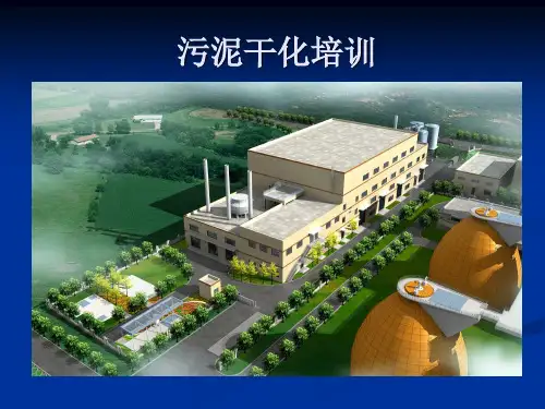 污泥干化培训资料PPT课件