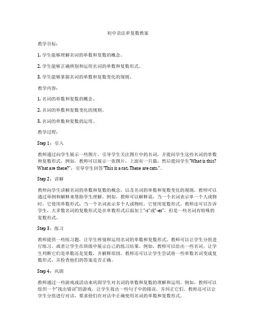 初中语法单复数教案