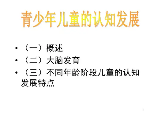 青少年儿童的认知发展