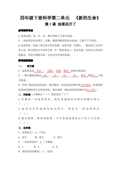 四年级下册科学第二单元《新的生命》1.油菜花开了