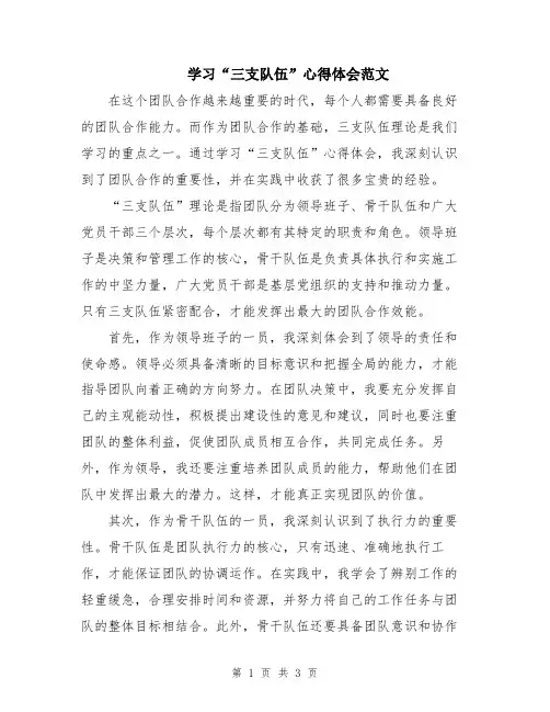 学习“三支队伍”心得体会范文
