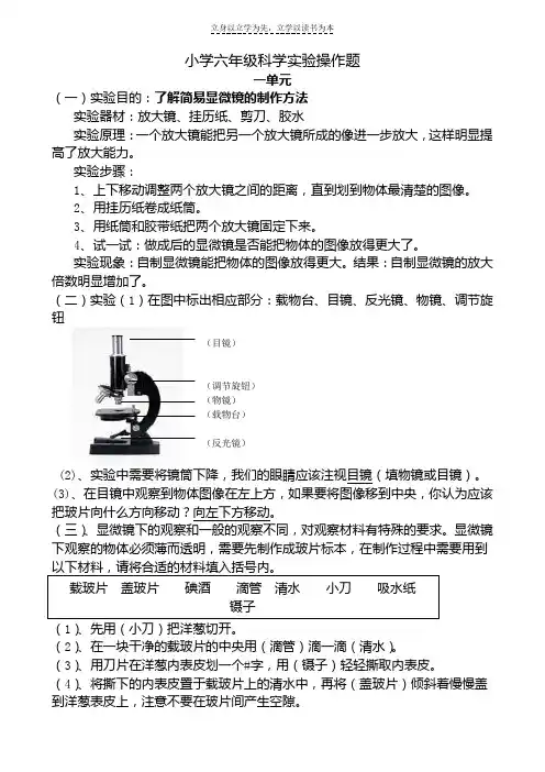 小学六年级科学实验操作题