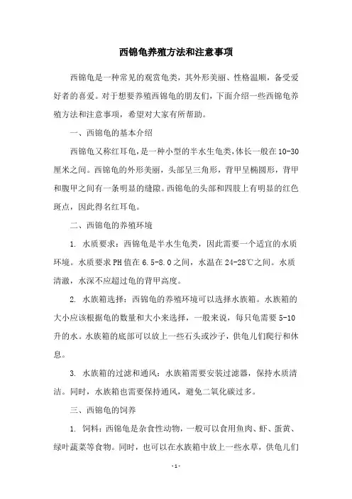 西锦龟养殖方法和注意事项
