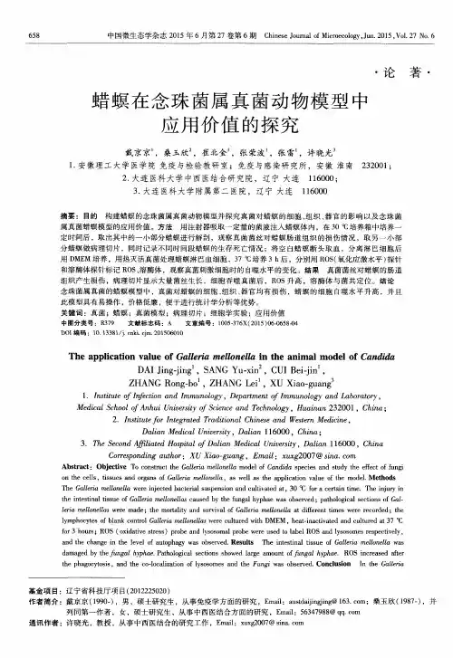 蜡螟在念珠菌属真菌动物模型中应用价值的探究