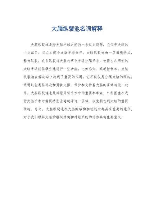 大脑纵裂池名词解释