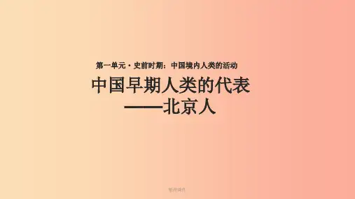 七年级历史上册 第一单元 史前时期 中国境内人类的活动 第1课《中国早期人类的代表—北京人》 新人教