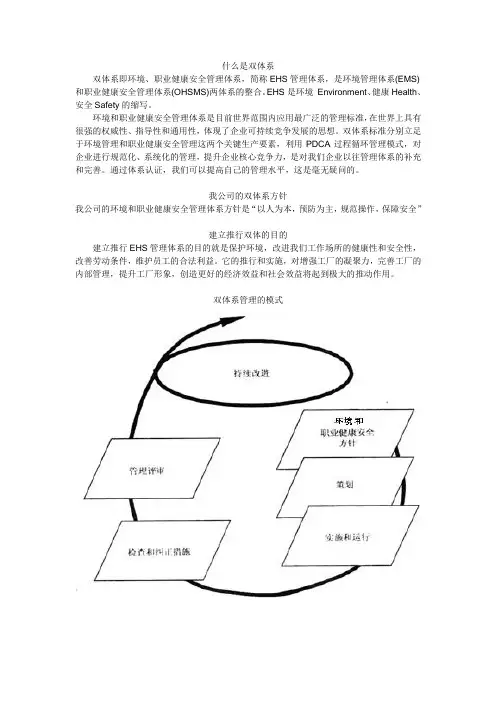 双体系