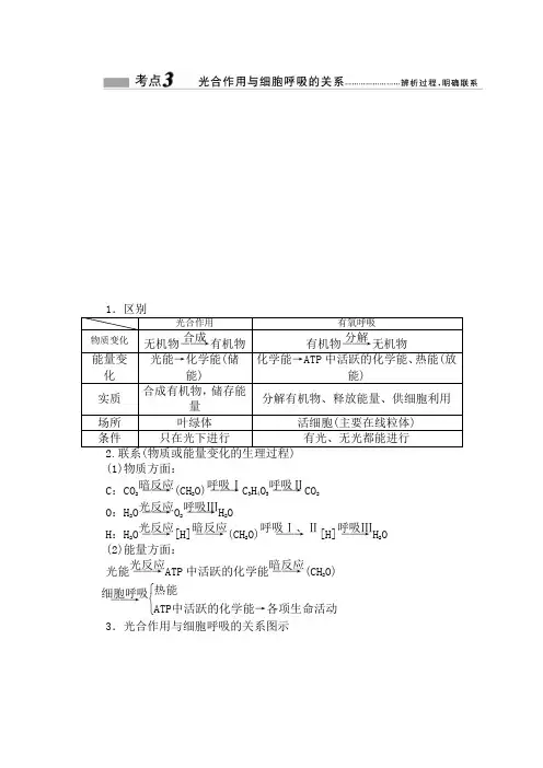 光合作用与细胞呼吸的关系