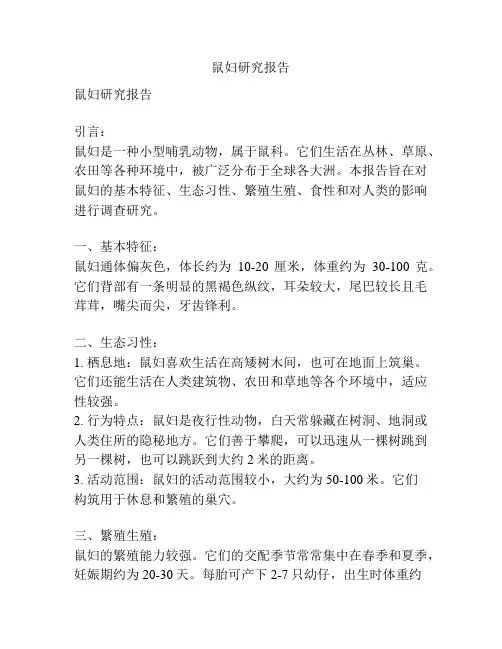 鼠妇研究报告