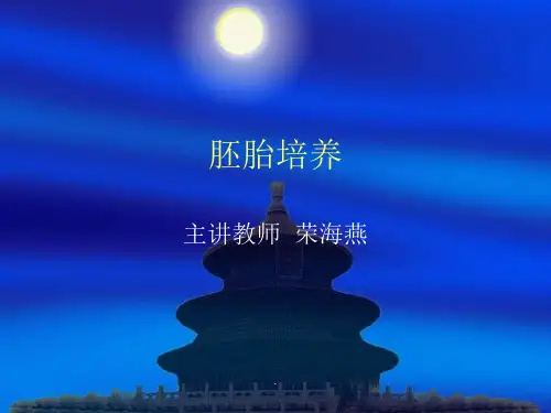  胚胎培养