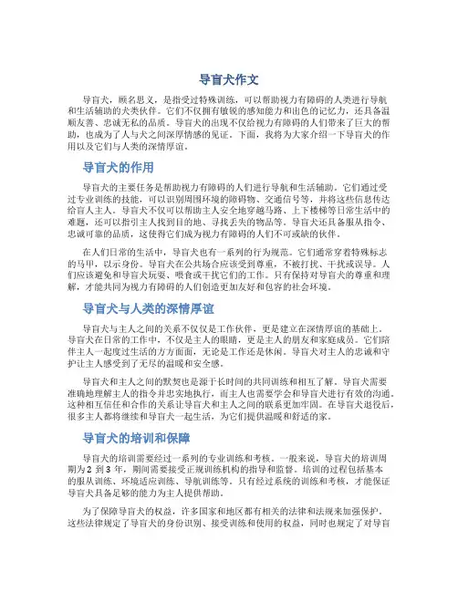 导盲犬作文
