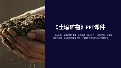 《土壤矿物》课件