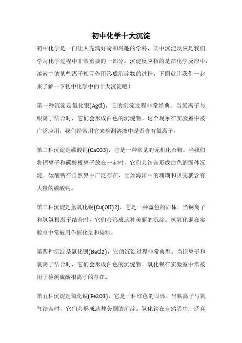 初中化学十大沉淀