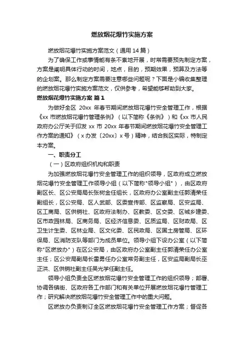 燃放烟花爆竹实施方案范文（通用14篇）
