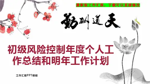 初级风险控制年度个人工作总结和明年工作计划PPT模板下载