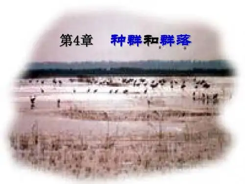 种群和群落 PPT课件4 人教课标版1