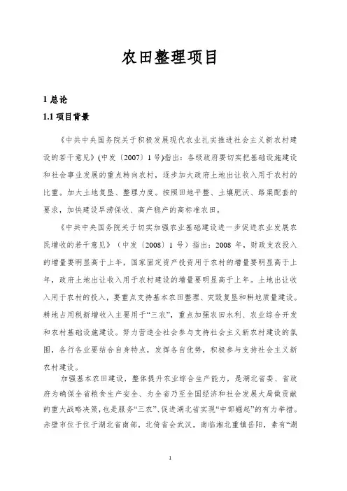 农田整理项目可行性研究报告