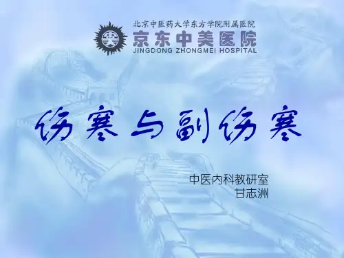 伤寒与副伤寒.ppt