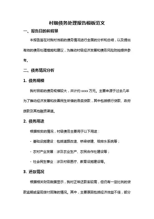村级债务处理报告模板范文