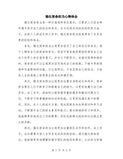 强化使命担当心得体会
