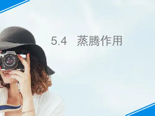 北师大版生物七上5.4《蒸腾作用》课件(共29张PPT)
