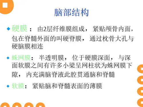 脑外科常见引流管的护理ppt课件