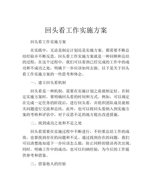 回头看工作实施方案