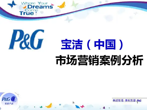 宝洁公司(中国)市场营销案例分析