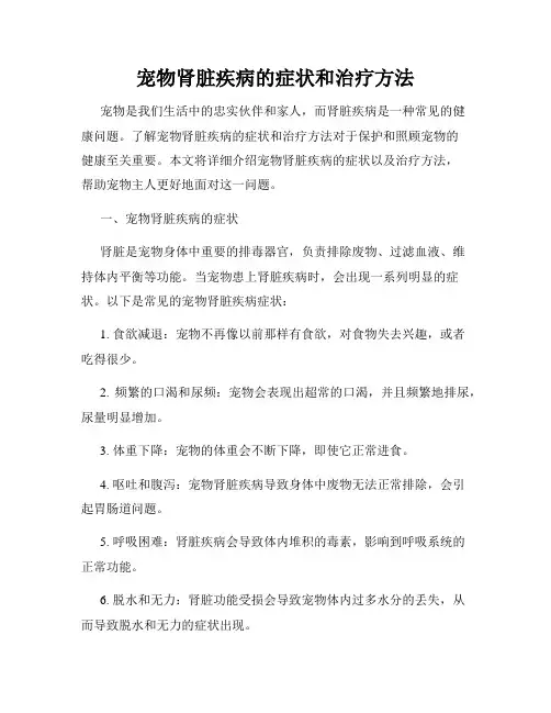 宠物肾脏疾病的症状和治疗方法