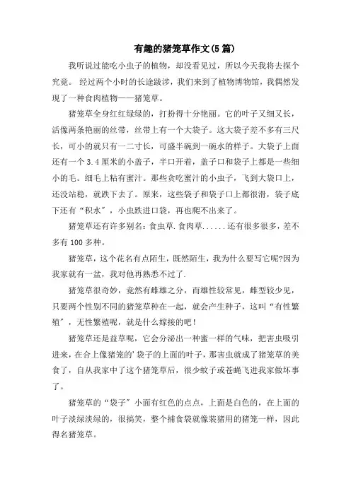 有趣的猪笼草作文(5篇)精编