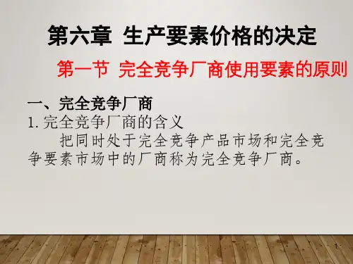 微观经济学第6章
