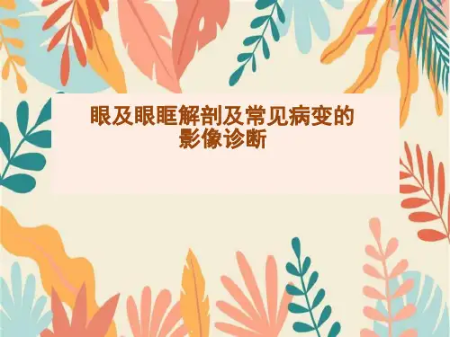眼及眼眶解剖及常见病变的影像诊断