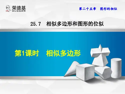 相似多边形  公开课精品课件