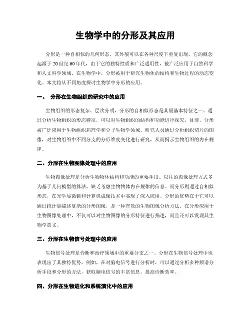 生物学中的分形及其应用