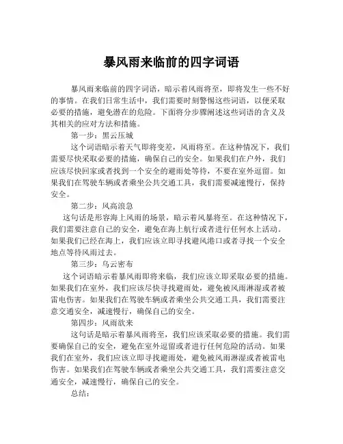 暴风雨来临前的四字词语