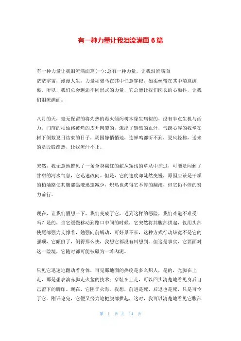 有一种力量让我泪流满面6篇