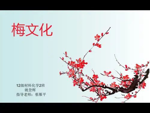 梅花文化-文档资料