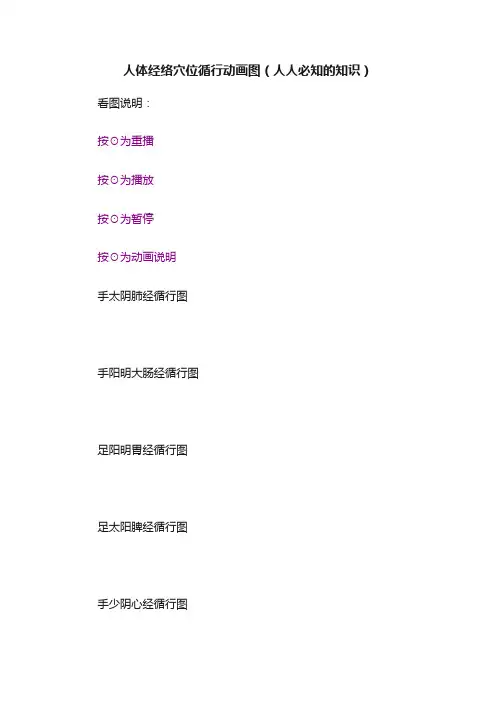 人体经络穴位循行动画图（人人必知的知识）