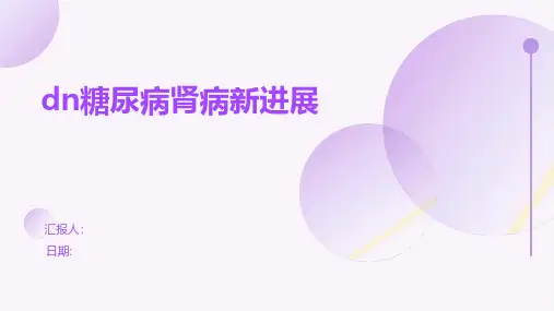 DN糖尿病肾病新进展