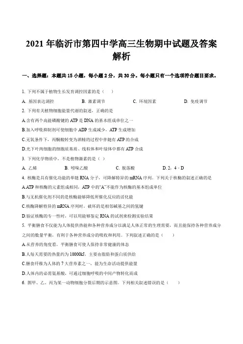 2021年临沂市第四中学高三生物期中试题及答案解析
